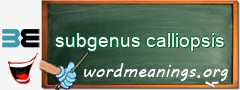 WordMeaning blackboard for subgenus calliopsis